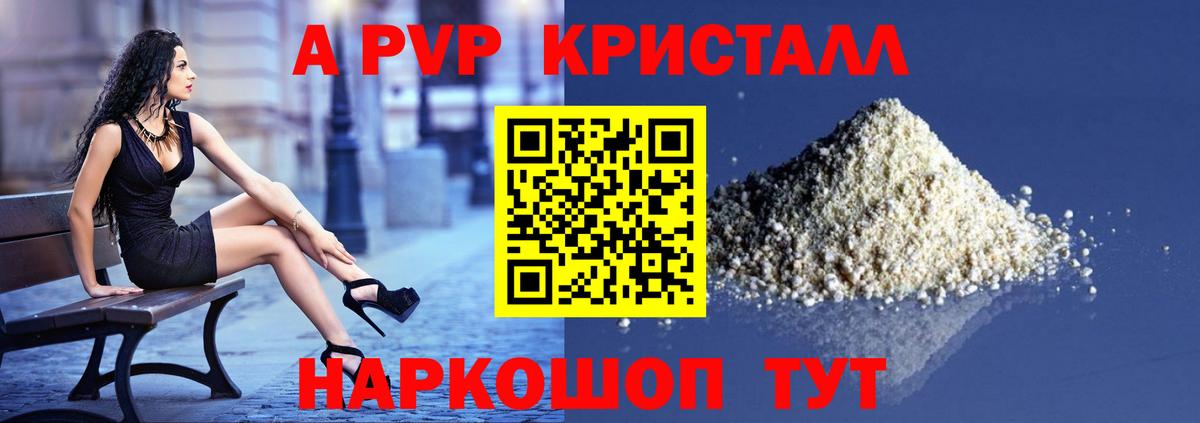 Alfa_PVP СК Урус-Мартан