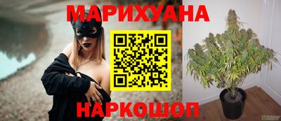 гидропоника Коммунар