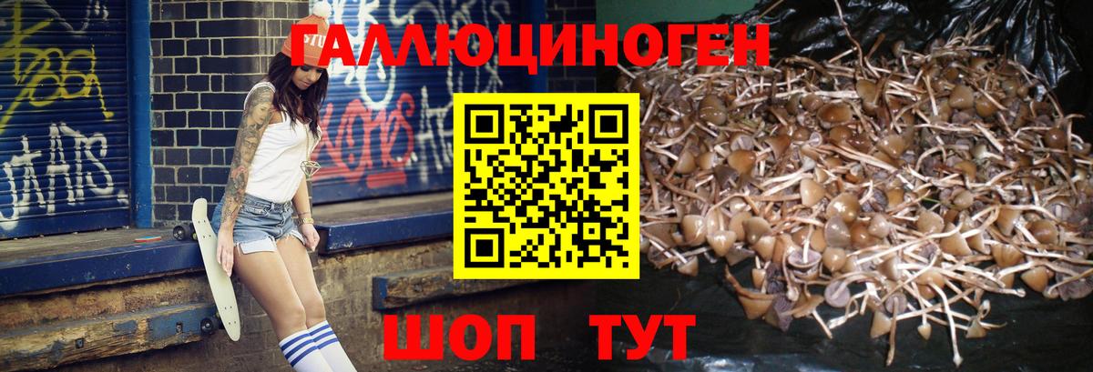 Урус-Мартан  Галлюциногенные грибы ЛСД  Вход с VPN 