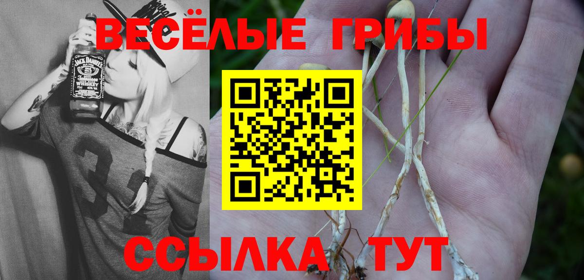 Галлюциногенные грибы GOLDEN TEACHER Урус-Мартан